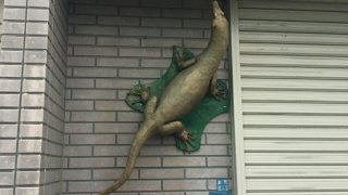 D4E65938-B7E0-47C5-8ED7-