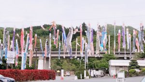 訪問福祉理美容　美々ネット埼玉　こいのぼり風景写真