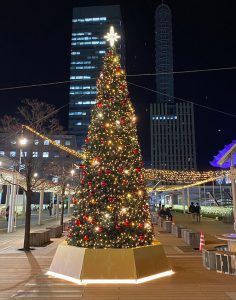 訪問福祉理美容　美々ネット埼玉　クリスマスチツリー